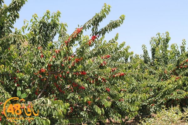 re7la bayere3jqw (15).JPG